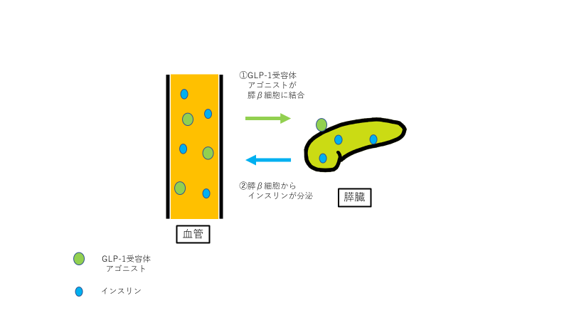 GLP-1--