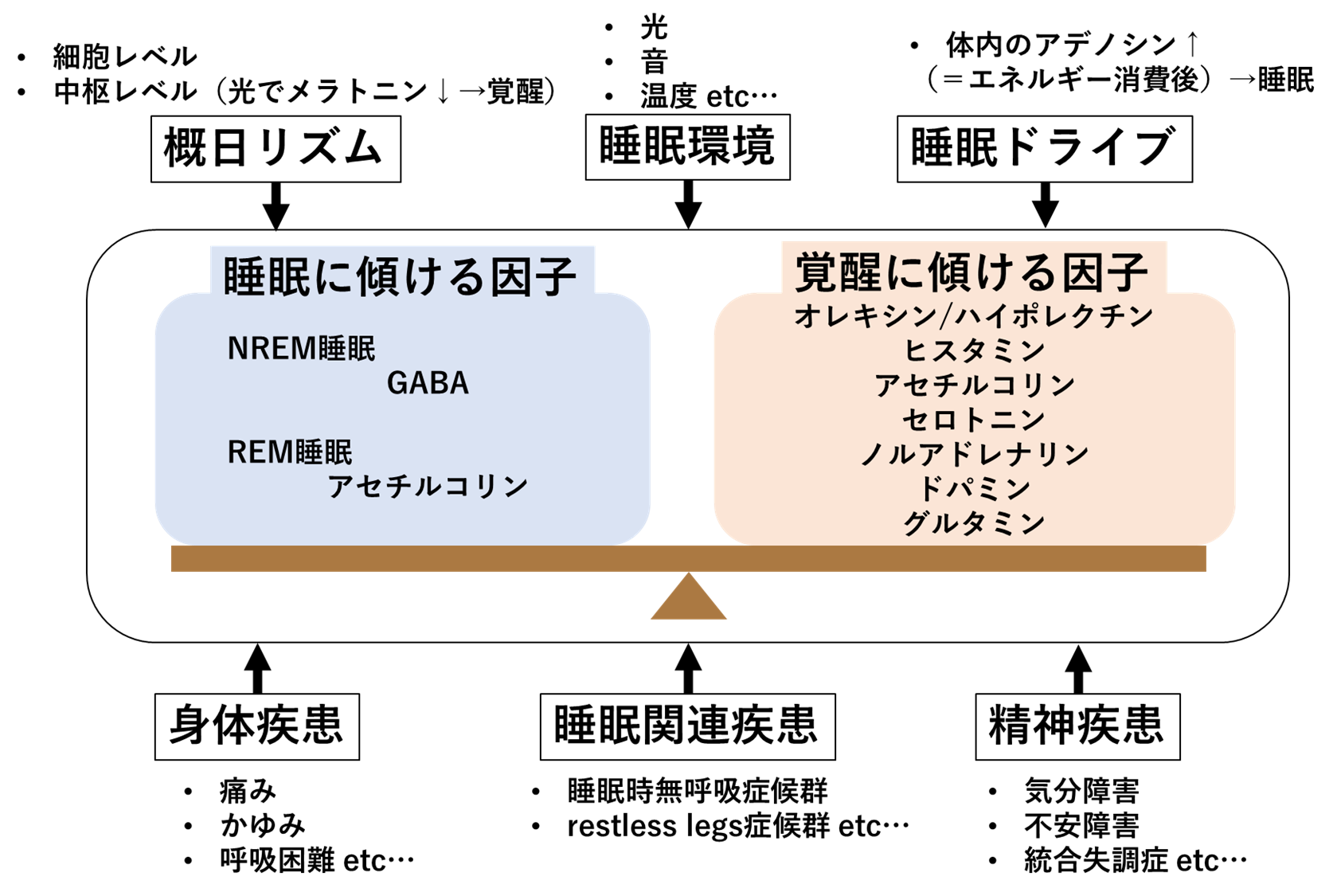 不眠症│不識庵-万年研修医のブログ-