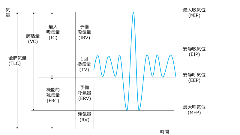 呼吸機能検査│不識庵-万年研修医のブログ-